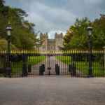 The Real Cost Of Automating A Long Driveway Gate